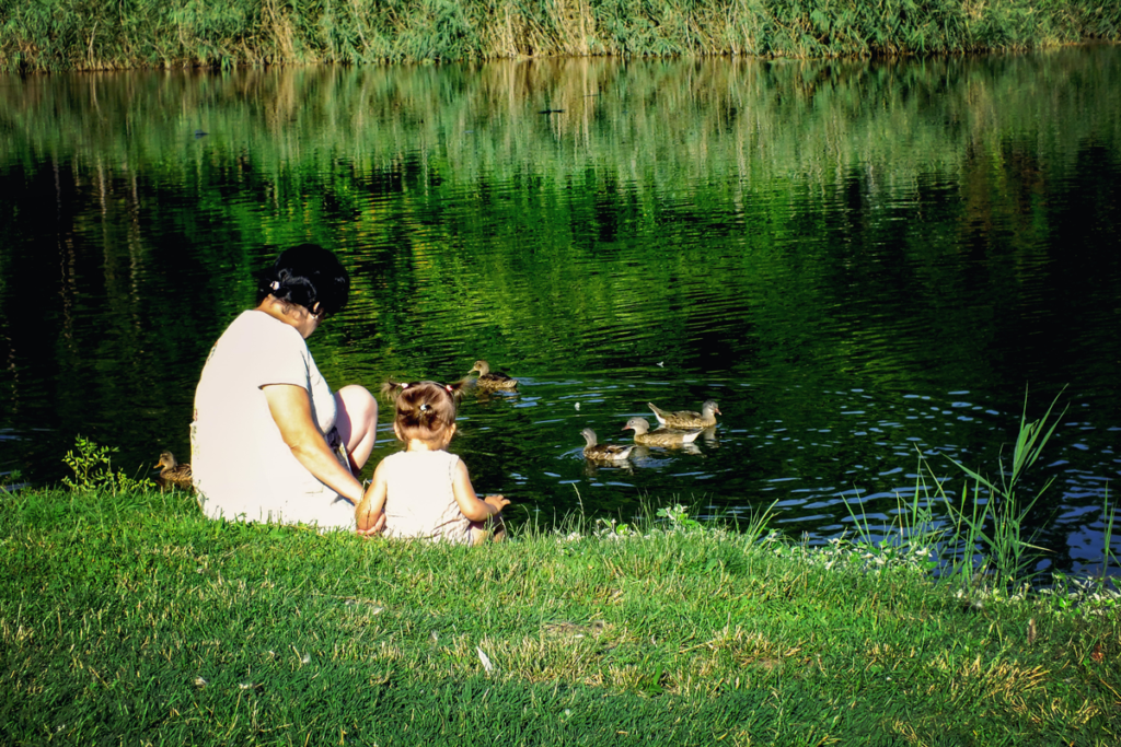 An adult and child feed ducks by a lake or river